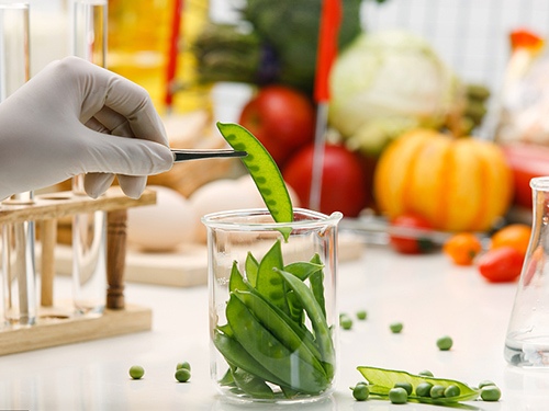 Food industry